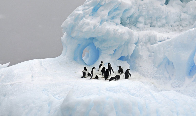 Antarktyka, czyli z wizyta w Raju? / spotkanie z cyklu Przyrodniczy wtorek z ekspertem